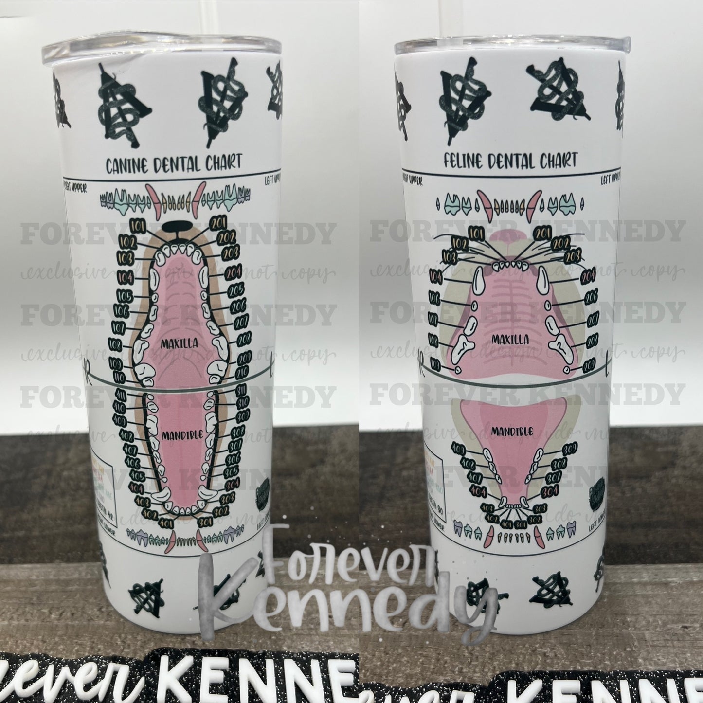 (MTO) Exclusive Tumbler: Dental Chart (Both Canine and Feline on one tumbler)