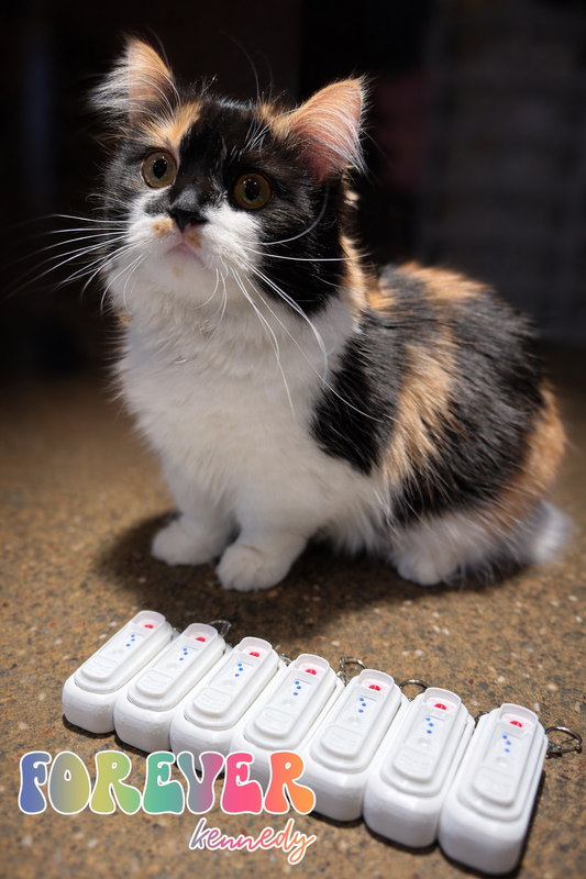 (MTO) Snap Fidget Keychain *single*