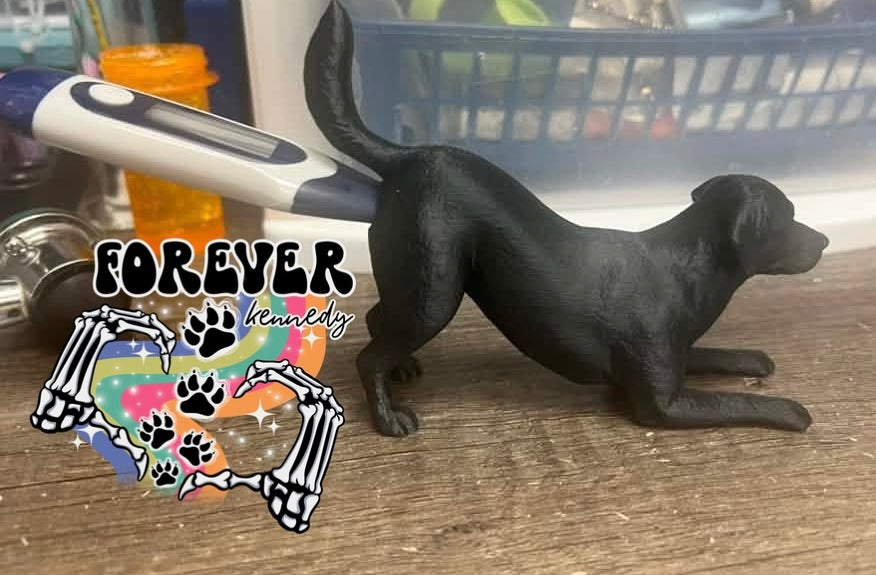 PRE-ORDER * Thermometer Holder *choose cat or dog*