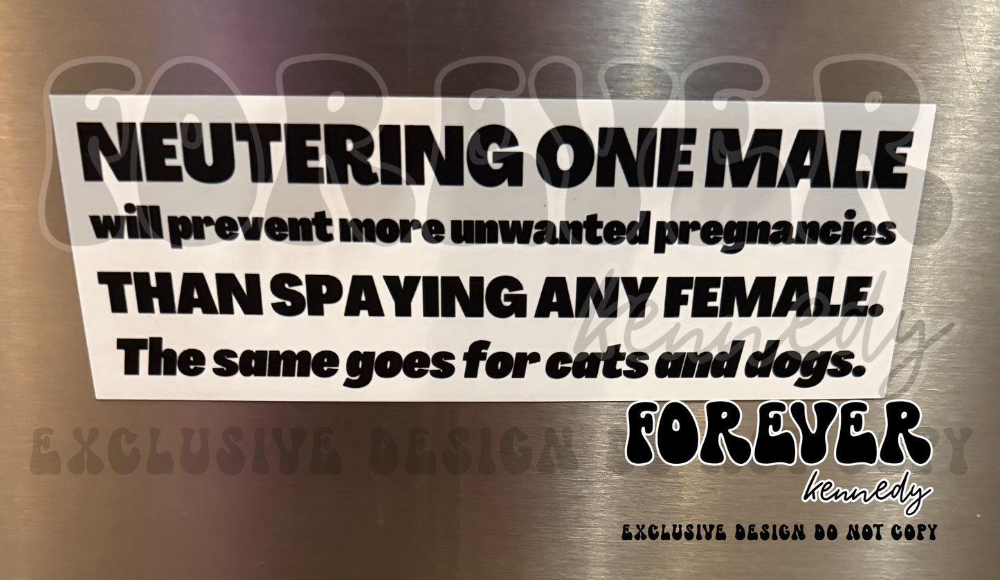 (MTO) Magnet: EXCLUSIVE DESIGN * Neuter the males