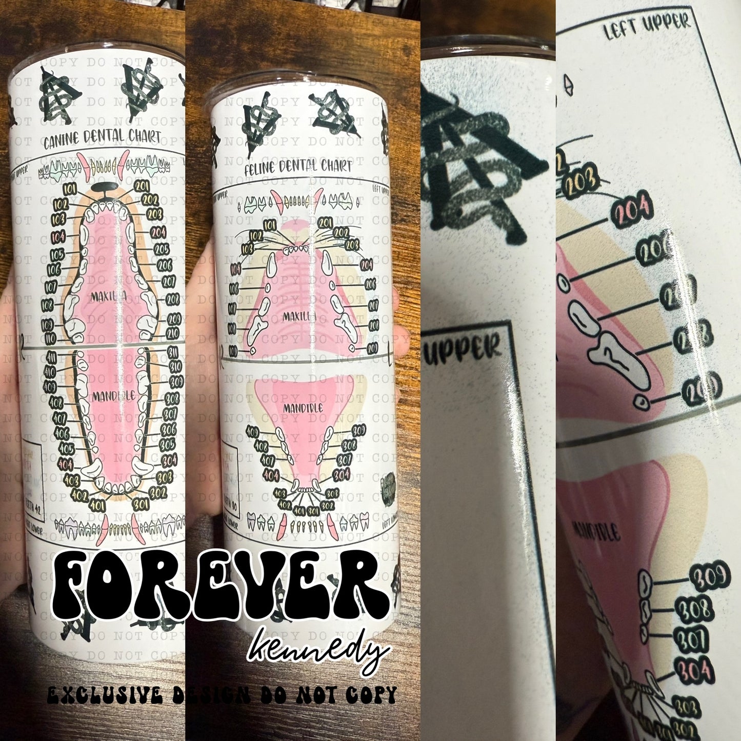 (READY TO SHIP) *SLIGHTLY IMPERFECT DESIGN* Exclusive Tumbler: Dental Chart (Both Canine and Feline on one tumbler)