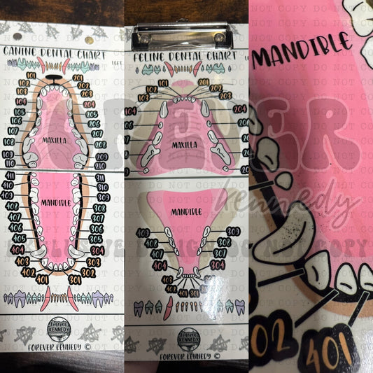 (READY TO SHIP) *SLIGHTLY IMPERFECT DESIGN* Clipboard: EXCLUSIVE DESIGN Dental Chart *double sided / both canine and feline*