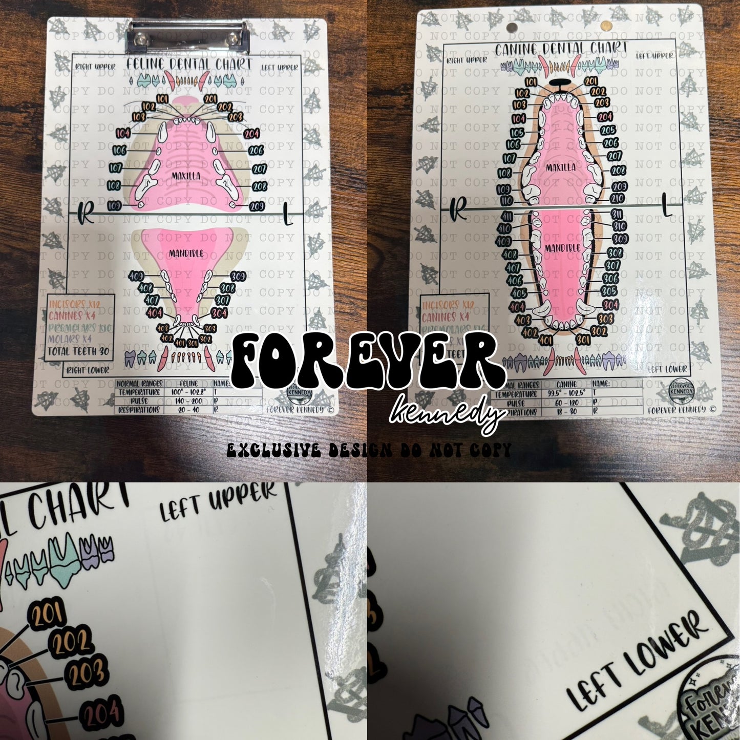 (READY TO SHIP) *SLIGHTLY IMPERFECT DESIGN* Clipboard: EXCLUSIVE DESIGN Dental Chart *double sided / both canine and feline*