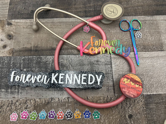 (MTO) Custom Stethoscope Charm