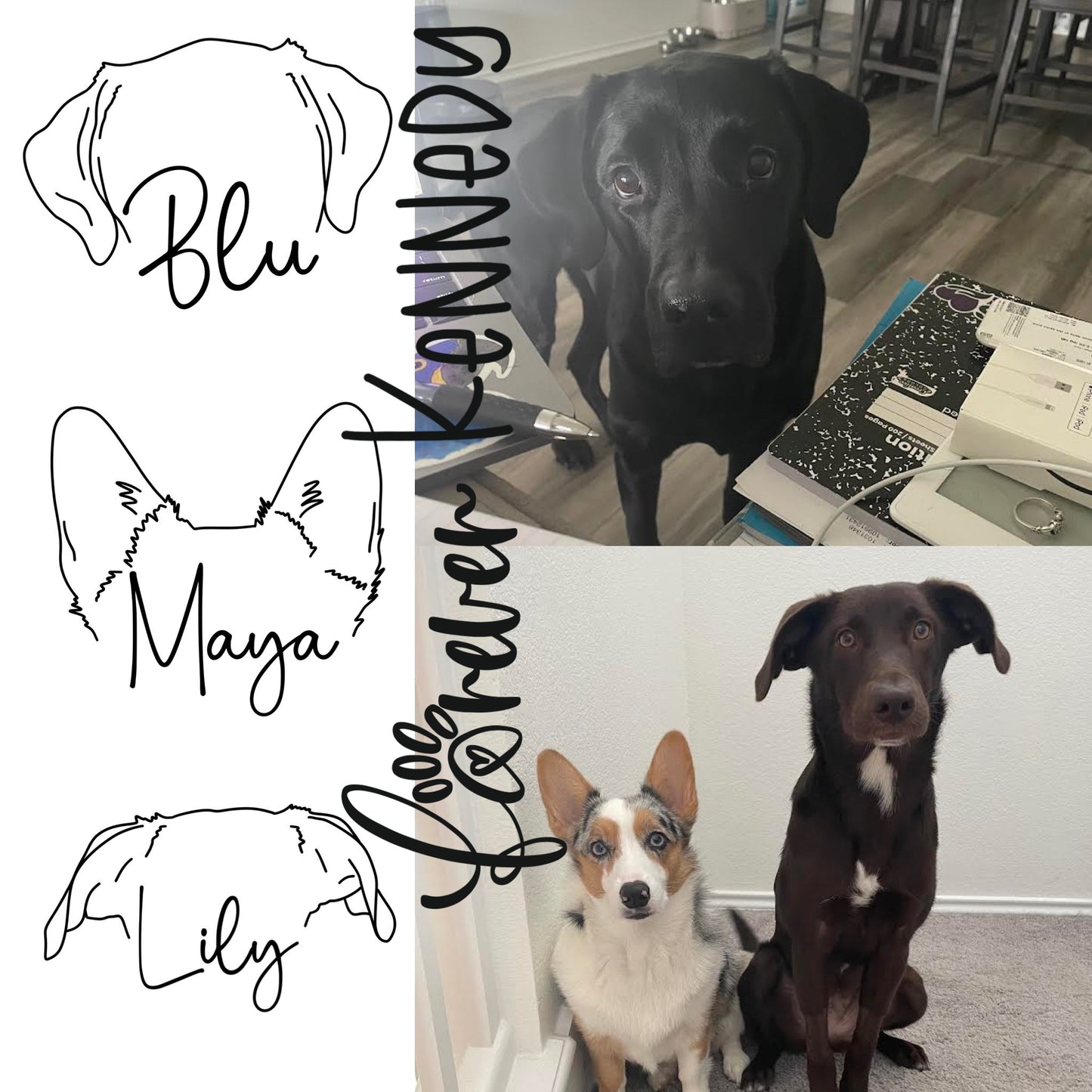 Custom Pet Ears Line Drawing - Digital