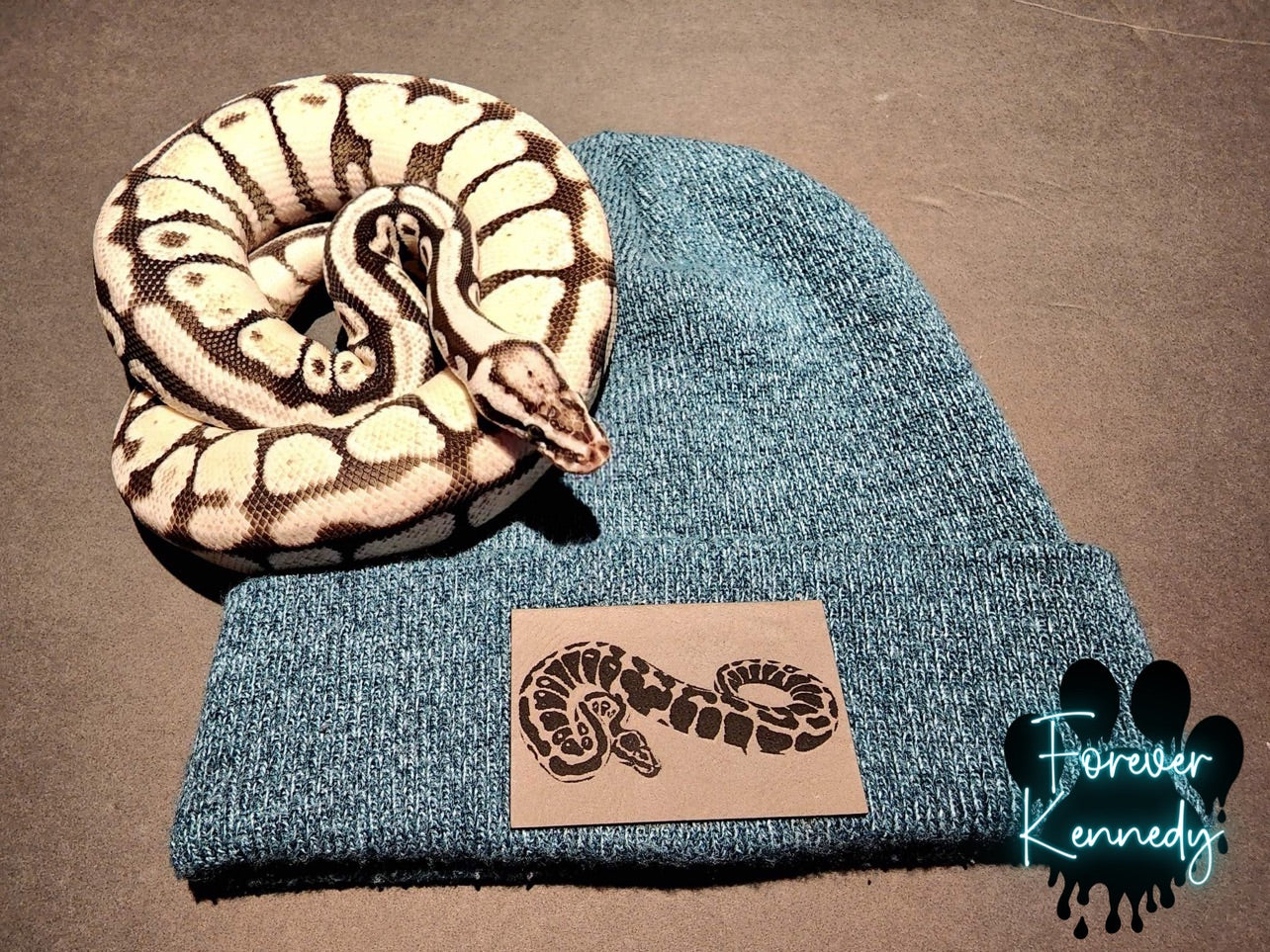 (PO) Beanie/Exclusive: Ball Python – Forever Kennedy